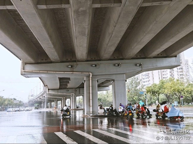 【尋秋】即將入秋雨水漸多