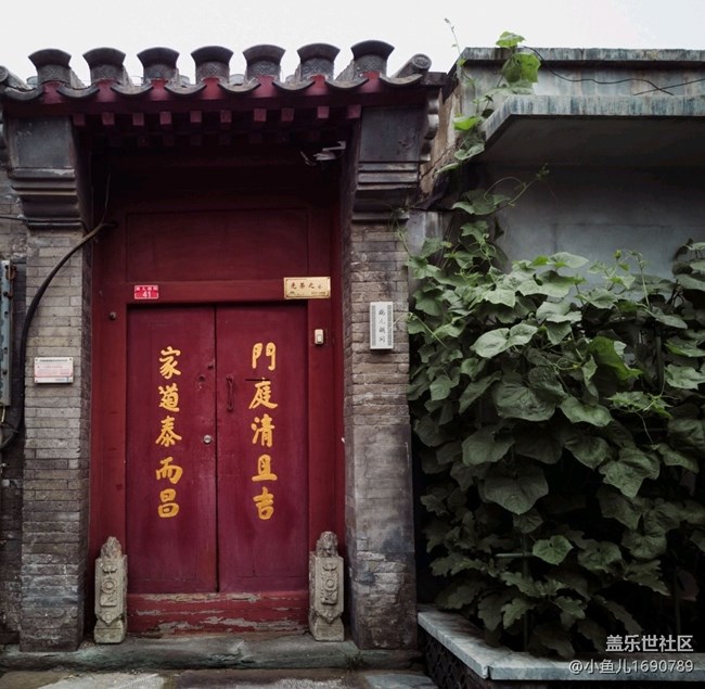 【尋秋】夏末秋初的北京胡同