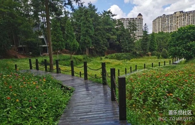 【半年足跡】游樂園