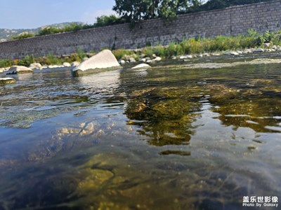 【我的假期故事】走進自然