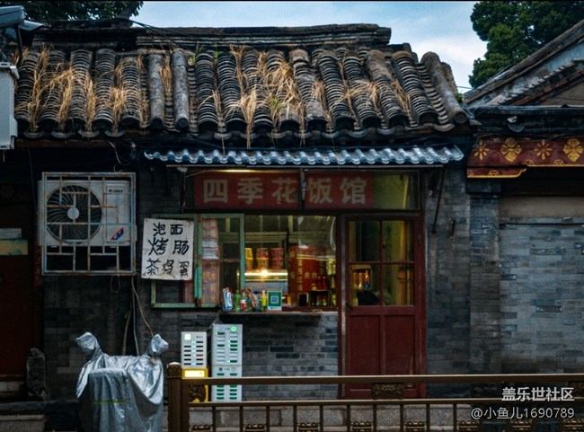 【尋秋】夏末秋初的北京胡同