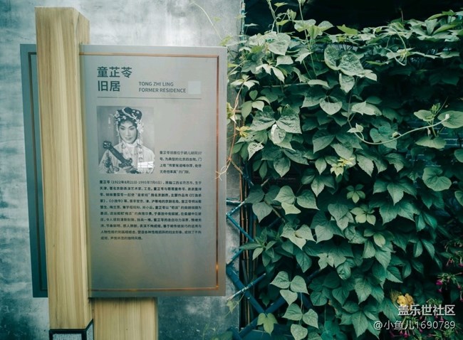 【尋秋】夏末秋初的北京胡同