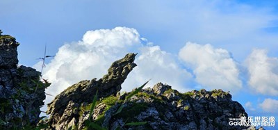 【我的假期故事】+神農(nóng)架之神農(nóng)頂