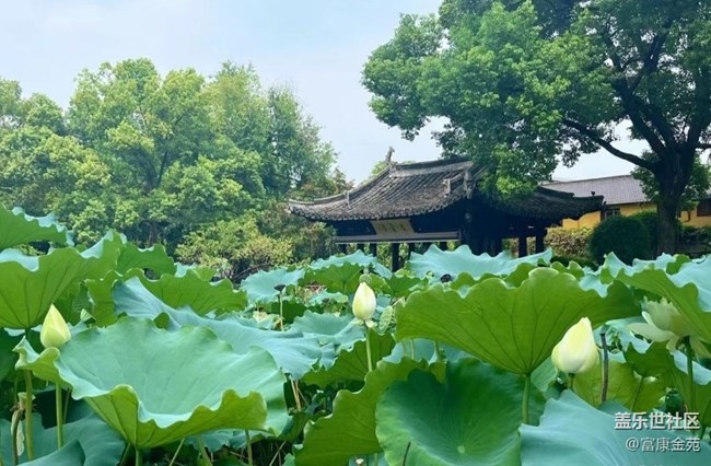 【半年足跡】紹興沈園