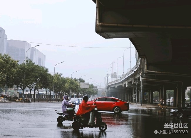 【尋秋】即將入秋雨水漸多