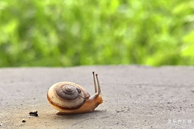 【我的假期故事】+隨拍小蝸牛