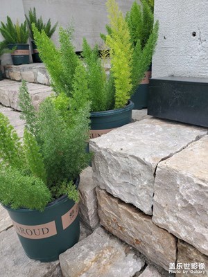 【我的假期故事】+美好點(diǎn)滴