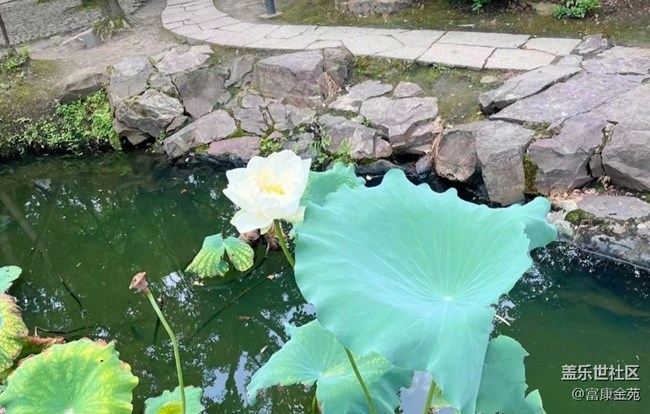 【半年足跡】紹興沈園