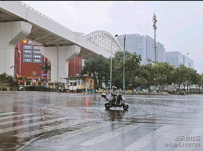 【尋秋】即將入秋雨水漸多