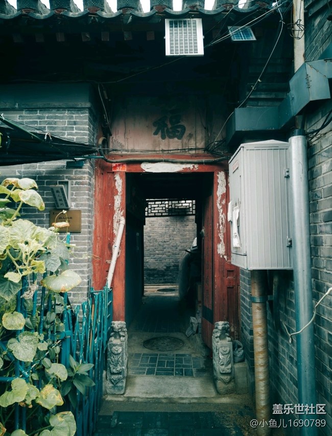 【尋秋】夏末秋初的北京胡同