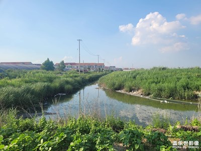 【我的假期故事】+農(nóng)村徒步