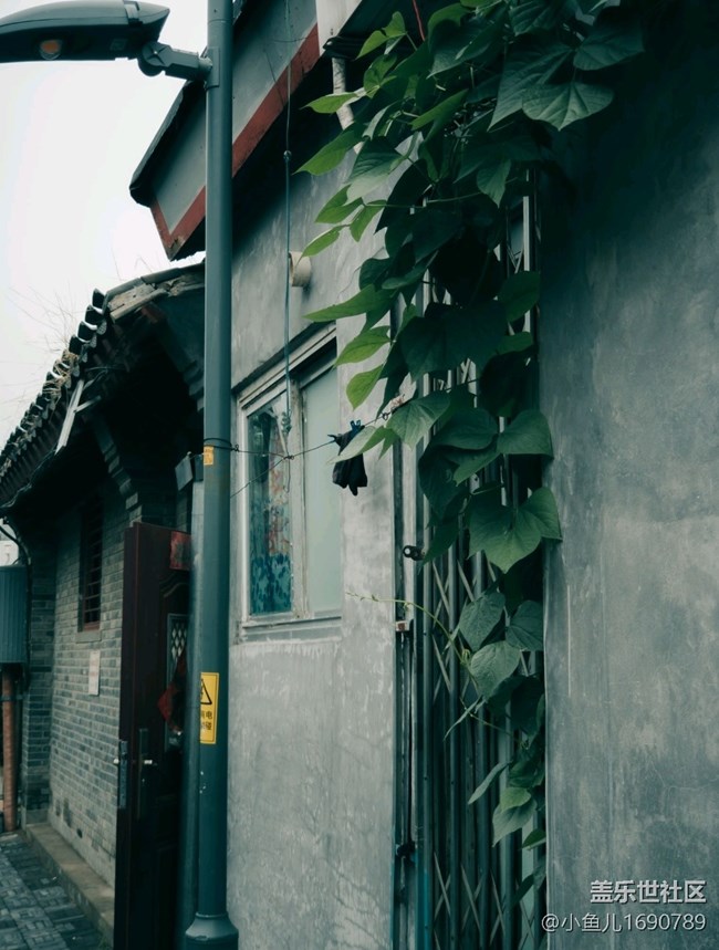 【尋秋】夏末秋初的北京胡同