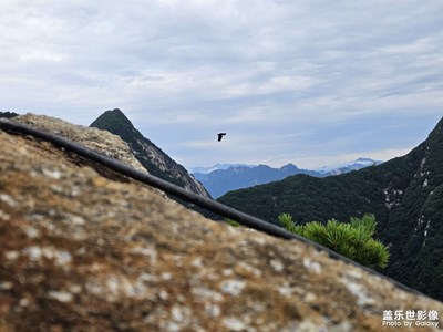 三星手機(jī)廣告