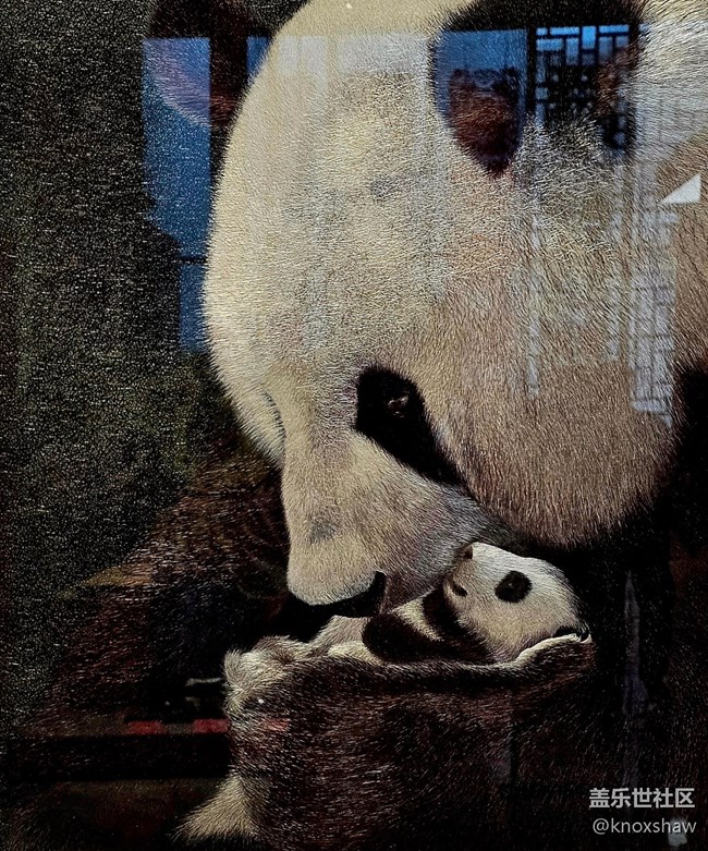 【中國非遺展】頂級非遺遇上科技神器