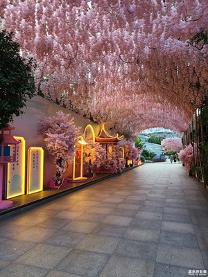 【我的假期故事】+粉色夏日