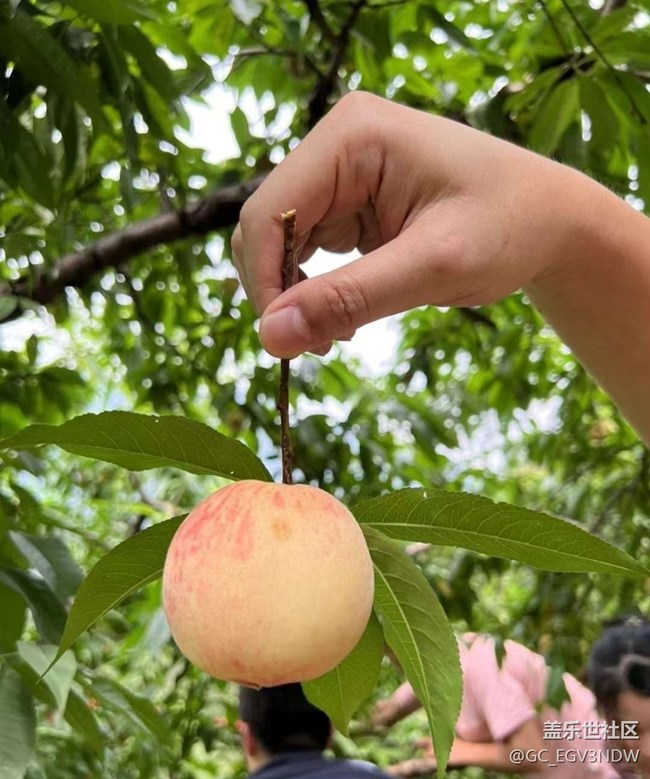 【半年足跡】農(nóng)家樂