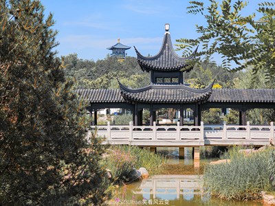 已開獎(jiǎng)【蓋樂世影像周賽第356期】—— 難忘的夏天