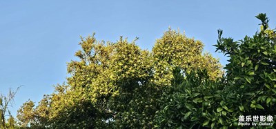 夕陽(yáng)下的光影～