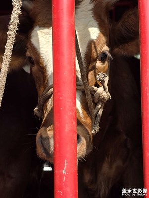 【我的假期故事】日常