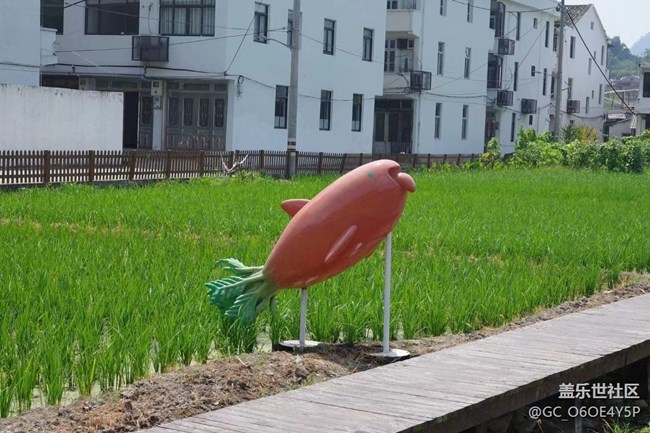 【半年足跡】田間地頭