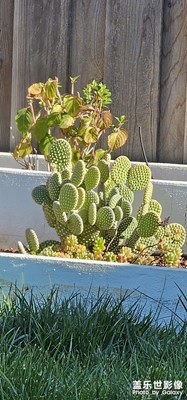 夏天無(wú)雨～