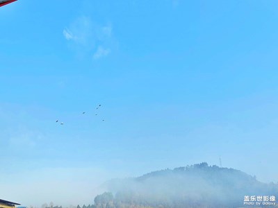 都伏天了還下霧