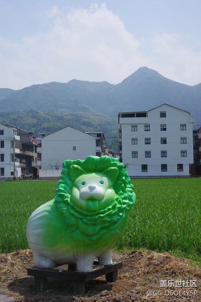 【半年足跡】田間地頭