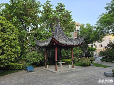 【我的假期故事】+城市隨拍