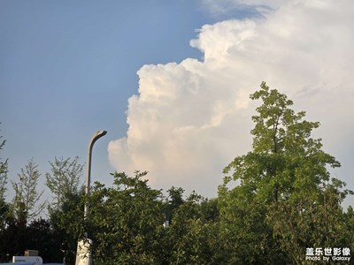 生活該有的樣子