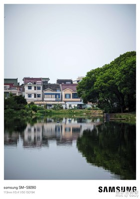 【我的假期故事】+夏日小花