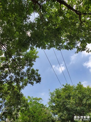 【我的假期故事】好天氣好心情