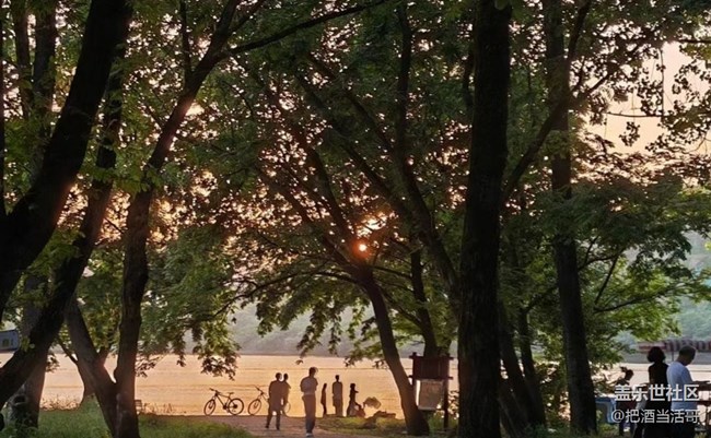 【時間影像】樹林