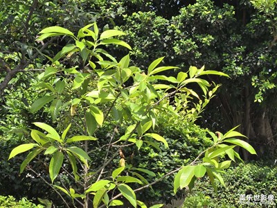 【我的假期故事】+假日好時(shí)光