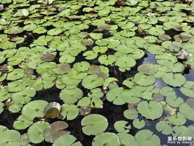 【我的假期故事】+假期日常