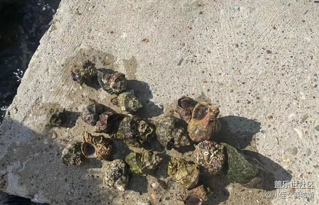 【時(shí)間影像】出海