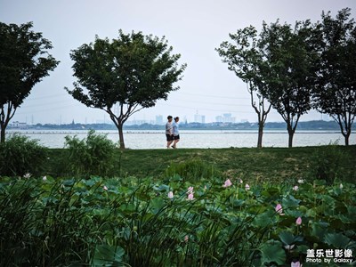 【難忘的夏天】+夏末