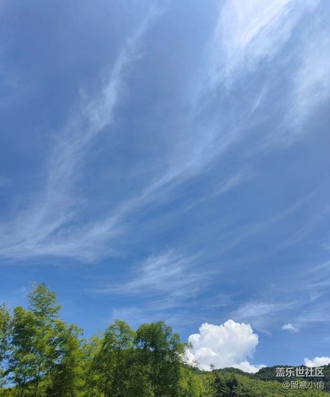 【夏日限定】爬山行