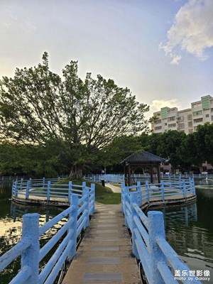 夕陽西下，斷腸人在?