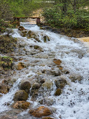 【難忘的夏天】Galaxy S23Ultra   走出仙境