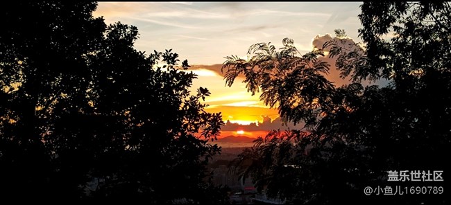 【尋秋】日落西山看林間夕陽美景