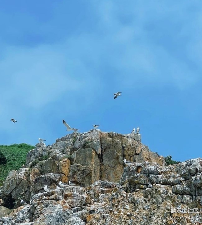 【時(shí)間影像】去趕海