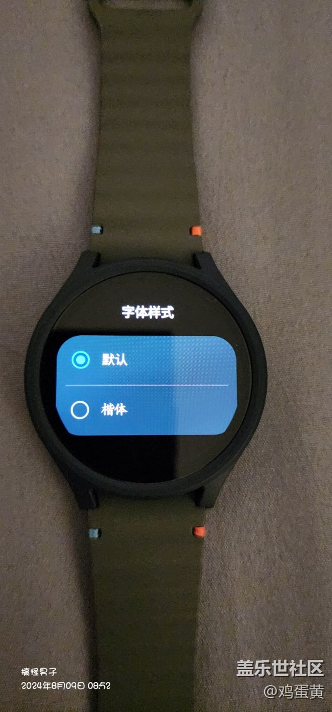 建議watch手表上加入新字體