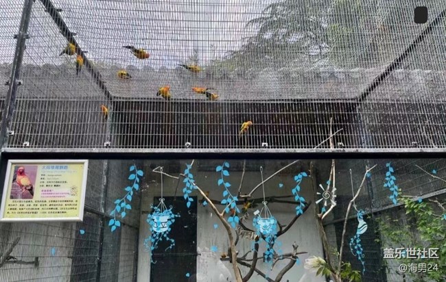 【夏日限定】游動物園