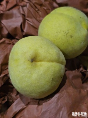 【難忘的夏天】+桃子與豆角