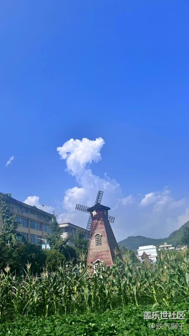 【時間影像】荷