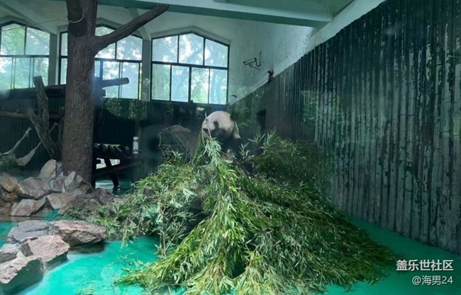 【夏日限定】游動物園