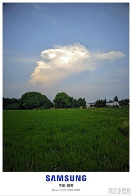 【難忘的夏天】飯后散步即景