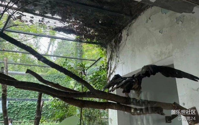 【夏日限定】游動物園