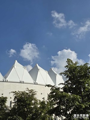 【難忘的夏天】+ 假期放松