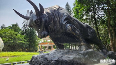 【難忘的夏天】+下雨天度假